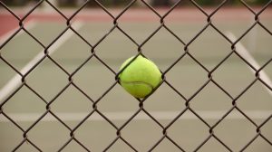 tennis ball on chain link fence